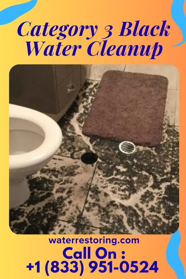 Category 3 Black Water Cleanup in Brookneal, VA