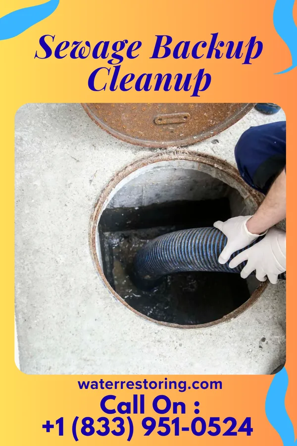 Sewage Backup Cleanup in Brookneal, VA
