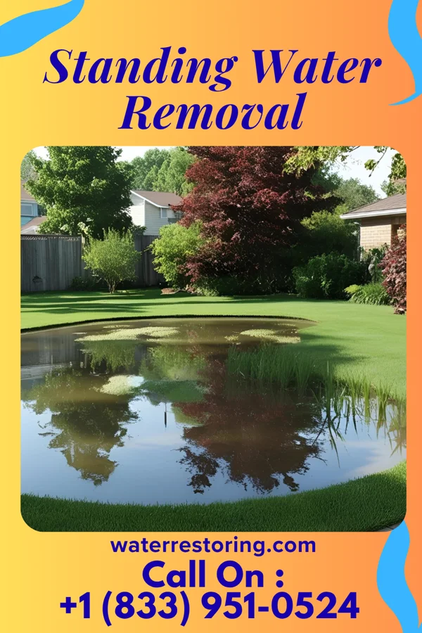 Standing Water Removal in Brookneal, VA